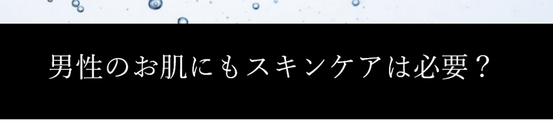 �����Y�̃g�[�^���X�L���P�A����ŁE���ێ��T���T���Ȏg�p�����T�C�g